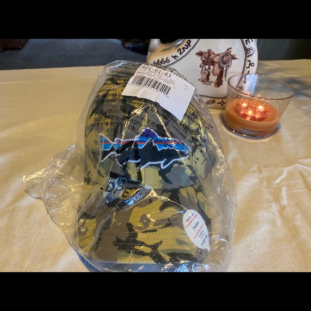 Patagonia Trout Hat